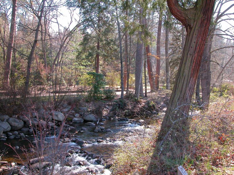 It is also home to Lithia Park, a large city park designed by John McClaren 